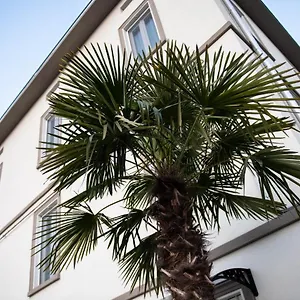 Le Palme Gasthof